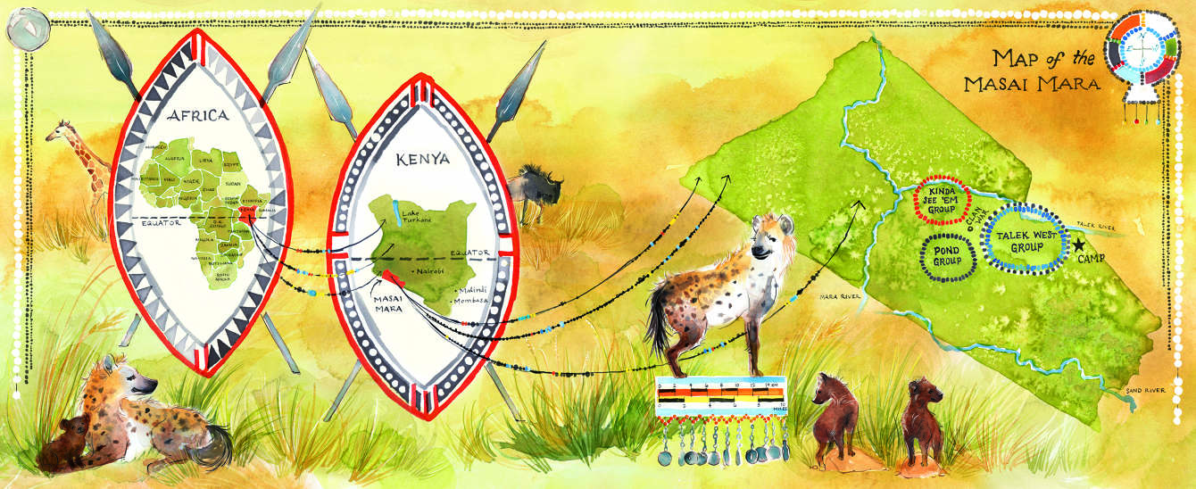 Hyena map SUSANNA CHAPMAN